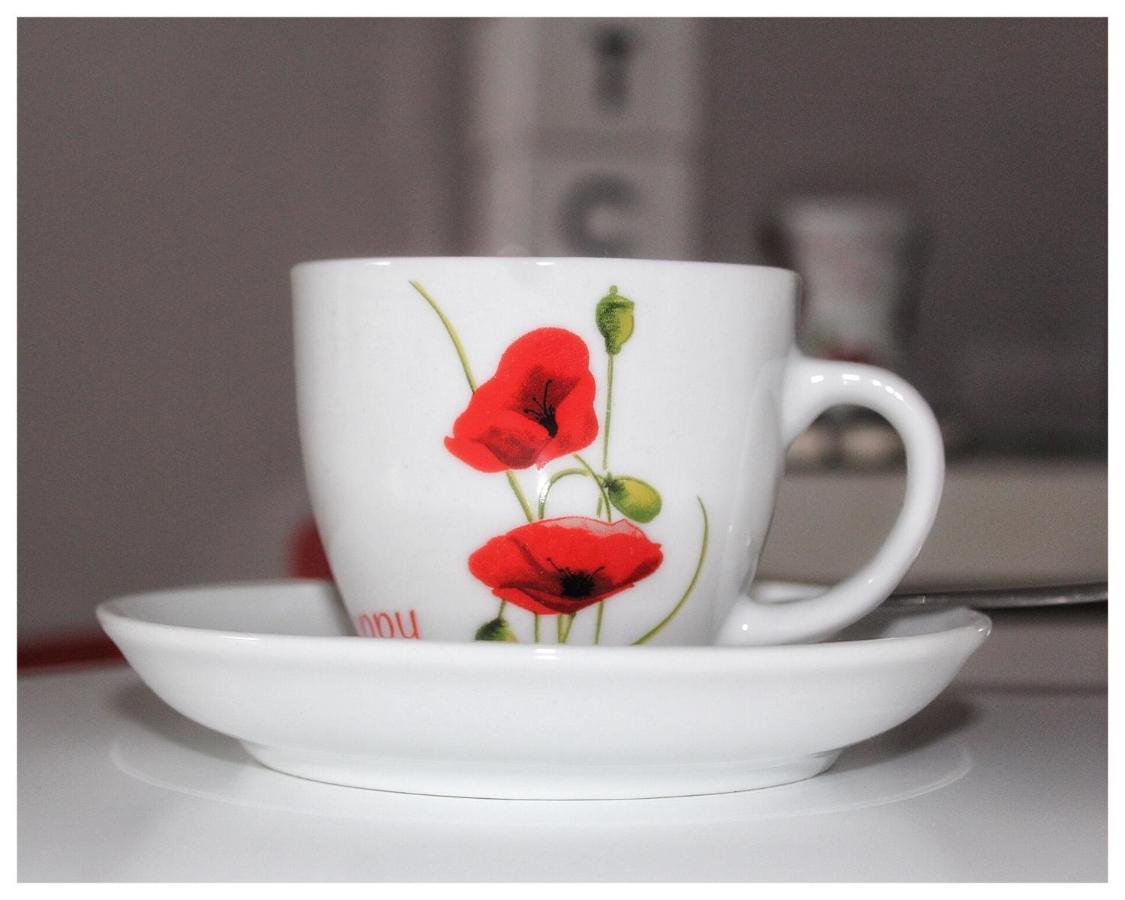 Flanders Fields Daire Dingwall Dış mekan fotoğraf