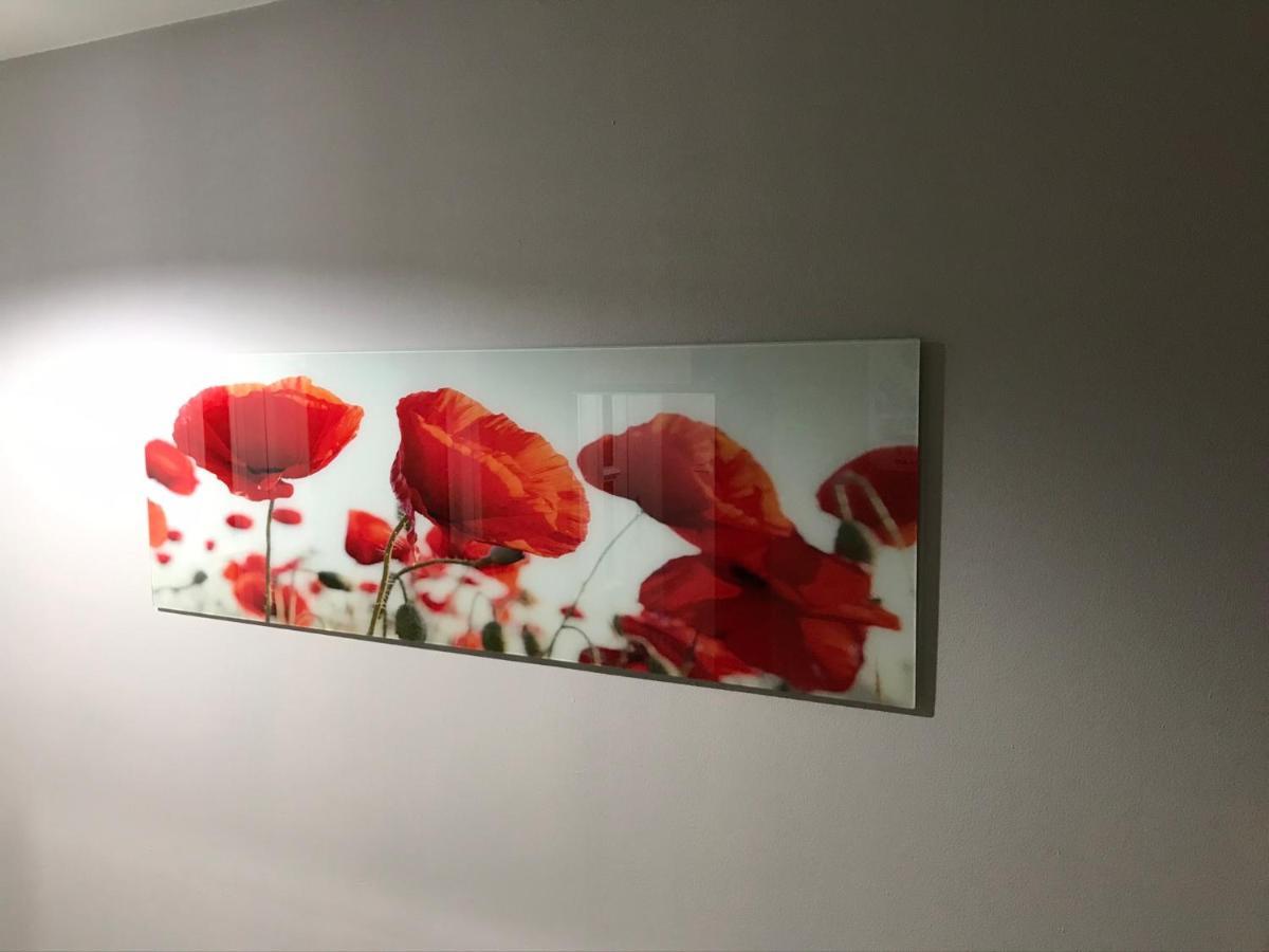 Flanders Fields Daire Dingwall Dış mekan fotoğraf